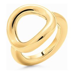 Ladies' Ring Folli Follie 1R17T011Y (S0356778)