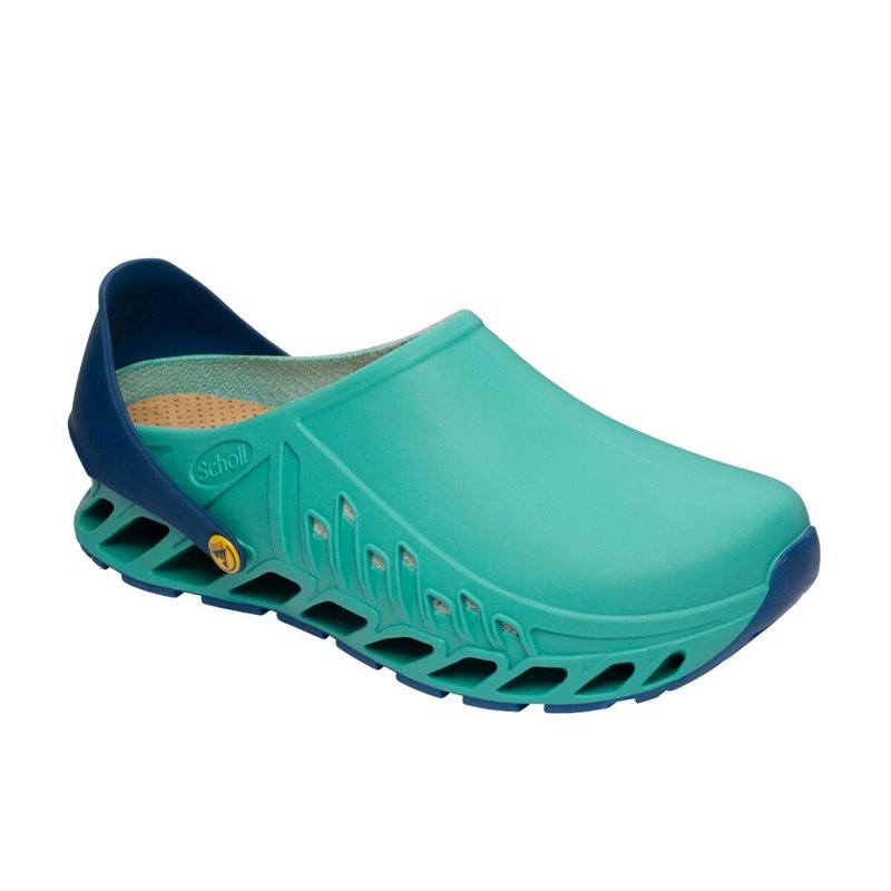 Clogs Scholl Evoflex (S9193773)