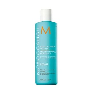 Repair Moisture Repair Shampoo 250ml - unisex - Teknashop Ltd