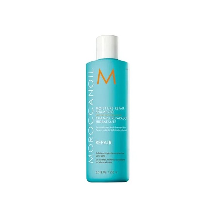 Repair Moisture Repair Shampoo 250ml - unisex - Teknashop Ltd