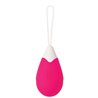 Bullet Vibrator Evolved Pink (S9404536)