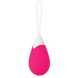 Bullet Vibrator Evolved Pink (S9404536)