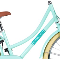 Excellent 24 Inch 34 cm Girls Coaster Brake Mint Green