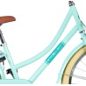 Excellent 24 Inch 34 cm Girls Coaster Brake Mint Green