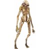 FIGURA PREVIEWS EXCLUSIVE THE NEWBORN ALIEN RESURECTION 1/18