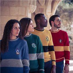 JERSEY PUNTO TRICOT HARRY POTTER - Teknashop Ltd