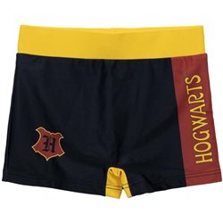 BOXER BAÑO HARRY POTTER MULTICOLOR