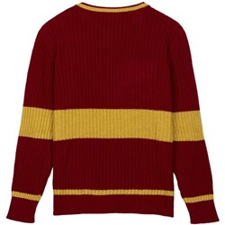 JERSEY PUNTO TRICOT HARRY POTTER