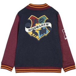 SUDADERA CON CREMALLERA COTTON BRUSHED HARRY POTTER DARK BLUE