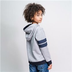 SUDADERA CON CAPUCHA COTTON BRUSHED HARRY POTTER GRAY