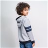 SUDADERA CON CAPUCHA COTTON BRUSHED HARRY POTTER GRAY