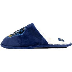 ZAPATILLAS DE CASA ABIERTA HARRY POTTER RAVENCLAW