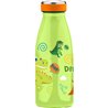 BOTELLA DINO RAW WATER REVOLUTION 350ML TERMO