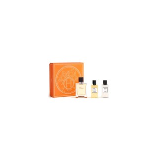 Hermès Terre D'hermes e T 50 Spray Gel40 Ash40 - unisex - Teknashop Ltd