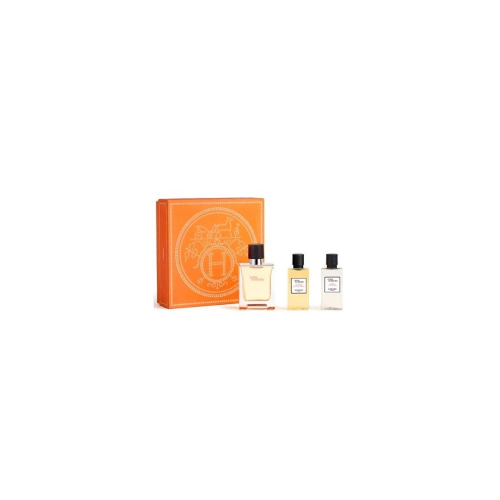 Hermès Terre D'hermes e T 50 Spray Gel40 Ash40 - unisex - Teknashop Ltd