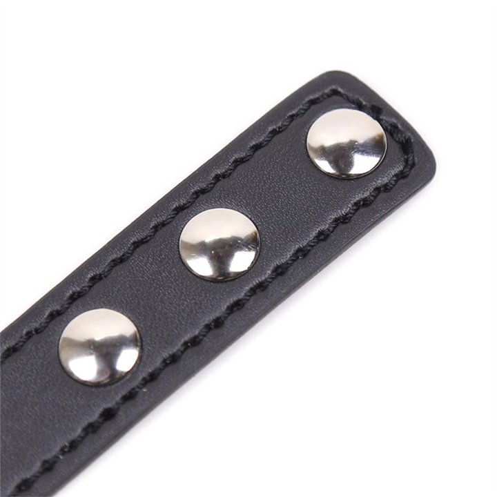 Collar with Heart Shaped Hoop Adjustable 41,5 cm Black - 843658379471 - Teknashop Ltd
