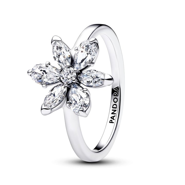 PANDORA JEWELRY Mod. 193000C02-52 - WW.193000C02-52 - Teknashop Ltd