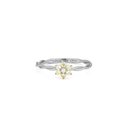 24KAE JEWELS JEWELRY Mod. 124170S/56 - WW.124170S_56 - Teknashop Ltd