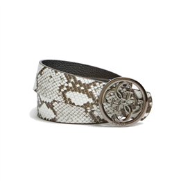 Guess, Kirby Not Adjust & Rev Belts - Teknashop Ltd