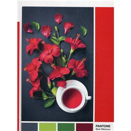 Clementoni, Pantone, Jigsaw Puzzles 1000 pcs - Teknashop Ltd