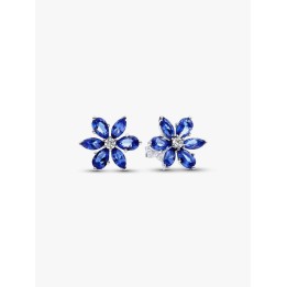 PANDORA Mod. 292407C01 - WW.292407C01 - Teknashop Ltd