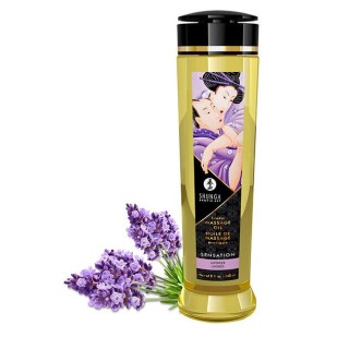 SHUNGA - SENSATION EROTIC MASSAGE OIL 240 ML - D-224023 - Teknashop Ltd