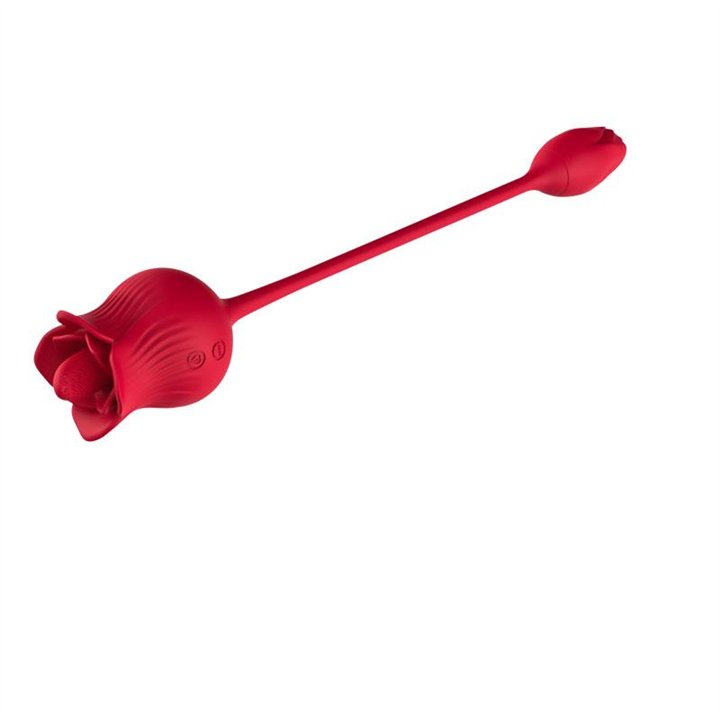 Rose with Licking and Vibrating egg USB - 8436626092730 - Teknashop Ltd