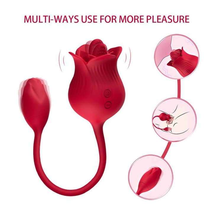 Rose with Licking and Vibrating egg USB - 8436626092730 - Teknashop Ltd