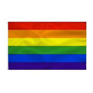 PRIDE - RAINBOW FLAG 90 X 150 CM - D-243904 - Teknashop Ltd