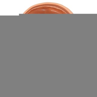 DIABLO PICANTE - EGG EMPTYING BAG LIGHT TONE - D-245391 - Teknashop Ltd