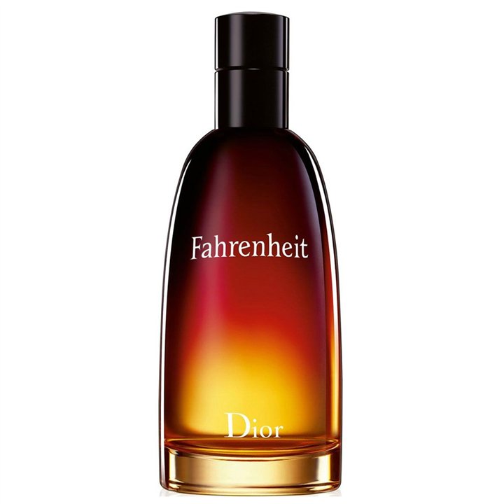 Christian Dior, Fahrenheit, Eau De Toilette, For Men, 100 ml - Teknashop Ltd