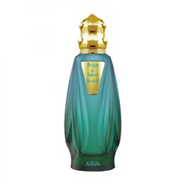 Nabeel, Acqua Di Nabeel Absolute, Eau De Parfum, Unisex, 100 ml - Teknashop Ltd