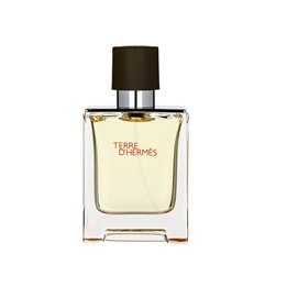 Hermes, Terre d'Hermes, Eau De Toilette, For Men, 50 ml - Teknashop Ltd