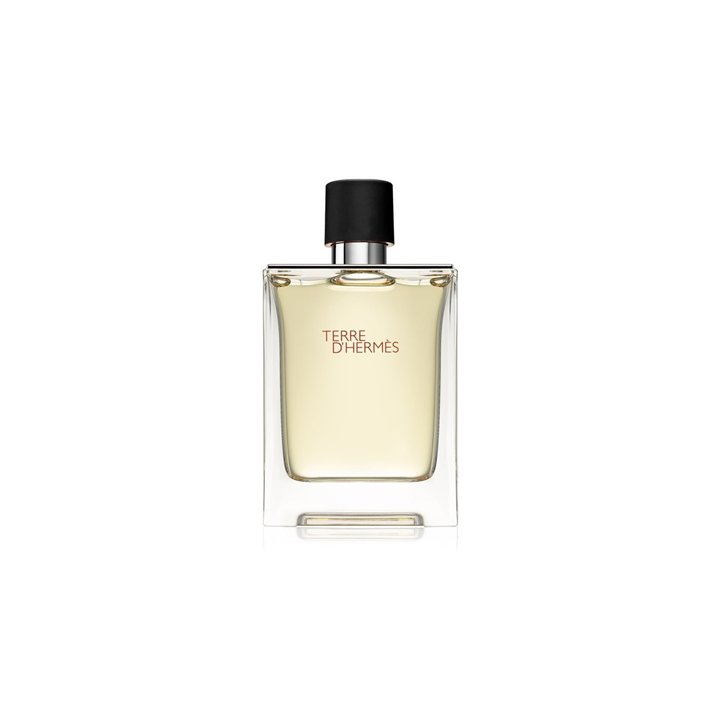 Hermes, Terre d'Hermes, Eau De Toilette, For Men, 100 ml - Teknashop Ltd