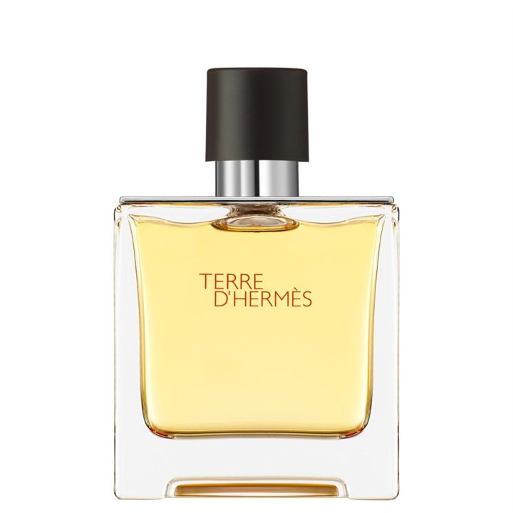 Hermes, Terre d'Hermes, Parfum, For Men, 75 ml - Teknashop Ltd