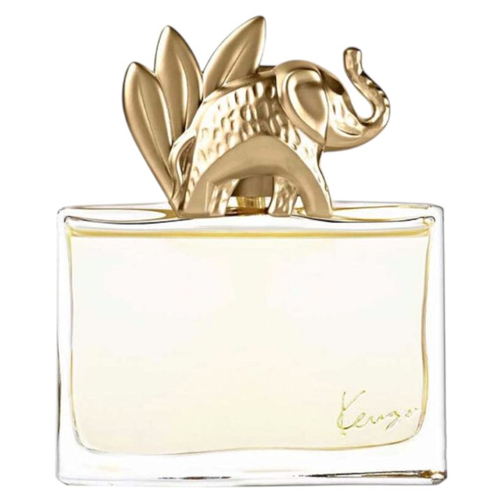Kenzo, Jungle L' Elephant , Eau De Parfum, For Women, 100 ml - Teknashop Ltd