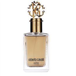 Roberto Cavalli, Uomo, Eau De Toilette, For Men, 100 ml - Teknashop Ltd