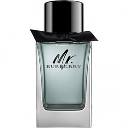 Burberry, Mr. Burberry, Eau De Toilette, For Men, 100 ml - Teknashop Ltd