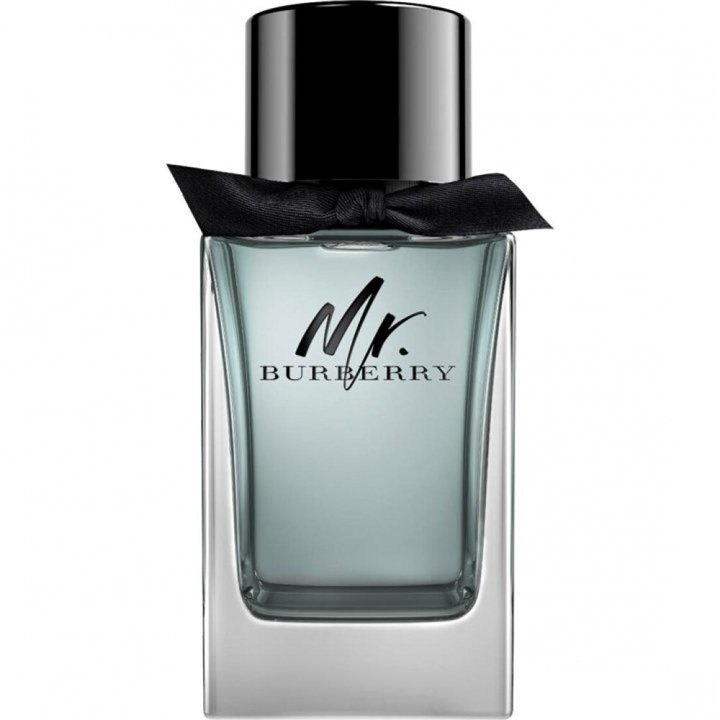 Burberry, Mr. Burberry, Eau De Toilette, For Men, 100 ml - Teknashop Ltd