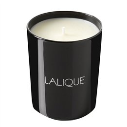 Lalique, Vetiver Bali Indonesie, Vetiver, Scented Candle, 190 g - Teknashop Ltd