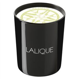 Lalique, Osmanthus Himalaya Nepal, Osmanthus, Scented Candle, 190 g - Teknashop Ltd