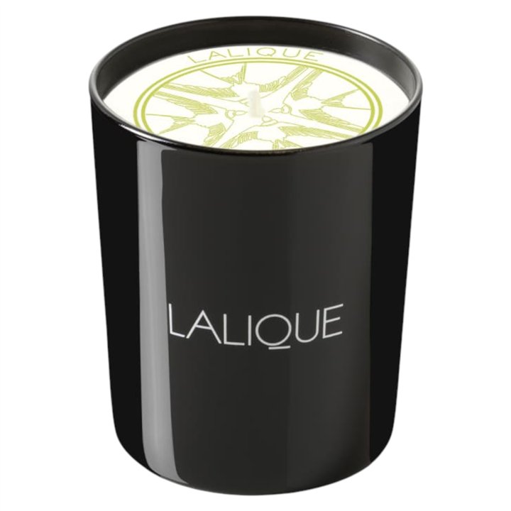 Lalique, Osmanthus Himalaya Nepal, Osmanthus, Scented Candle, 190 g - Teknashop Ltd