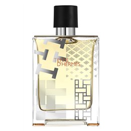 Hermes, Terre d'Hermes Flacon H Limited Edition, Eau De Toilette, For Men, 100 ml - Teknashop Ltd