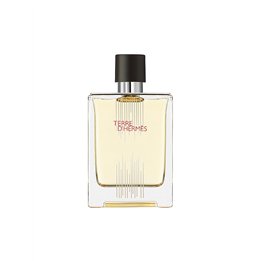 Hermes, Terre d'Hermes Flacon H Limited Edition, Eau De Toilette, For Men, 100 ml - Teknashop Ltd