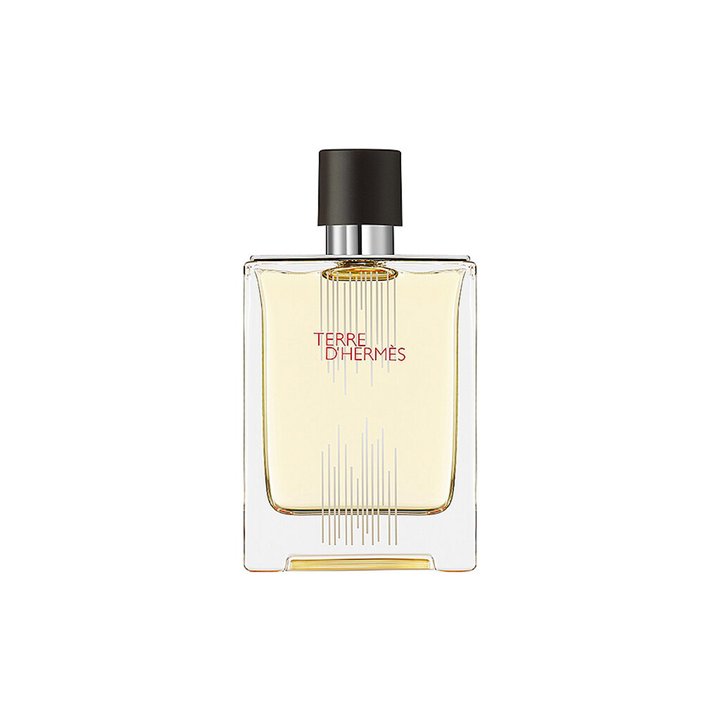 Hermes, Terre d'Hermes Flacon H Limited Edition, Eau De Toilette, For Men, 100 ml - Teknashop Ltd