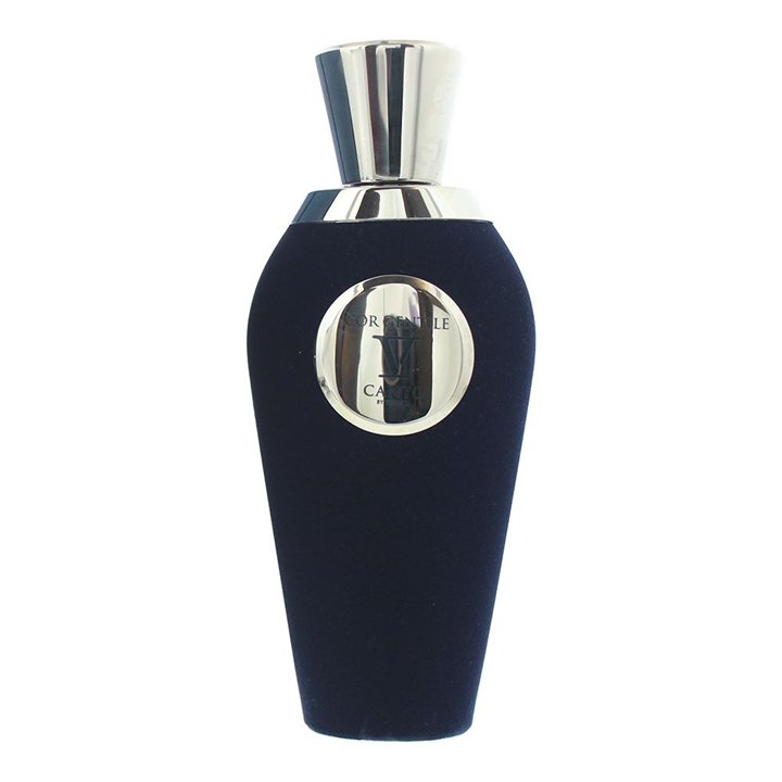 V Canto, Cor Gentile, Extrait De Parfum, Unisex, 100 ml - Teknashop Ltd
