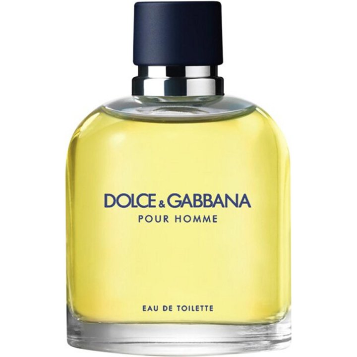 Dolce & Gabbana, Pour Homme, Eau De Toilette, For Men, 125 ml - Teknashop Ltd