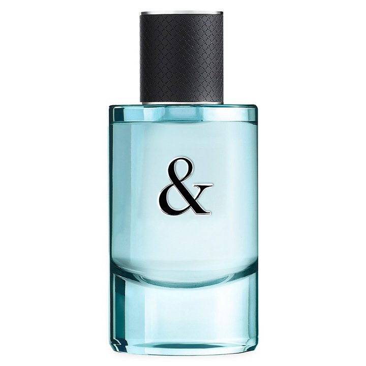 Tiffany & Co, Love, Eau De Toilette, For Men, 90 ml - Teknashop Ltd