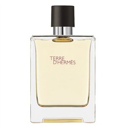 Hermes, Terre d'Hermes, Eau De Toilette, For Men, 100 ml *Tester - Teknashop Ltd