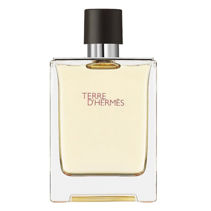 Hermes, Terre d'Hermes, Eau De Toilette, For Men, 100 ml *Tester - Teknashop Ltd